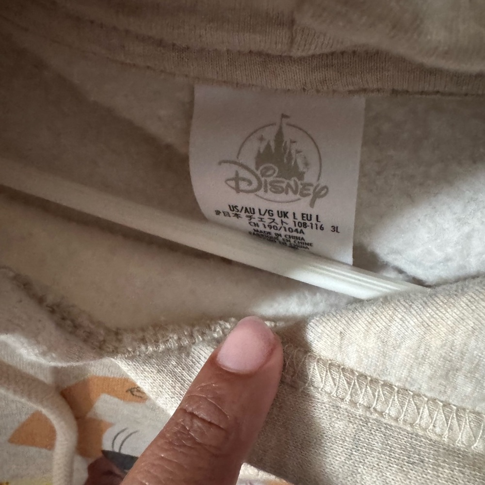 Disney Encanto Hoodie View 2